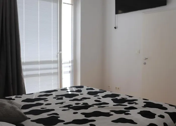 City Central Suite Відень